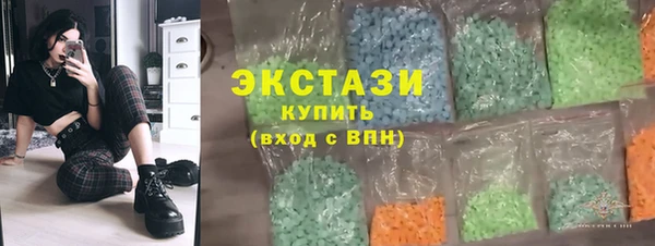 индика Богородицк
