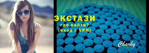 индика Богородицк