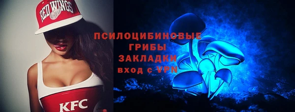 индика Богородицк