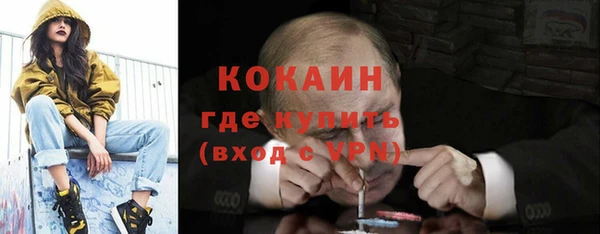 индика Богородицк