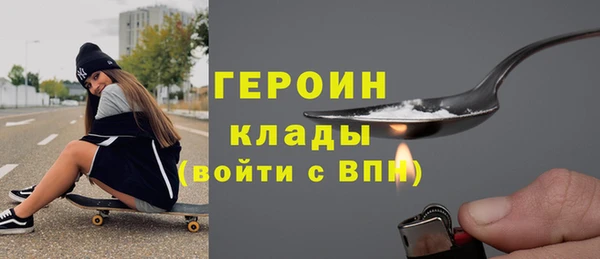 индика Богородицк