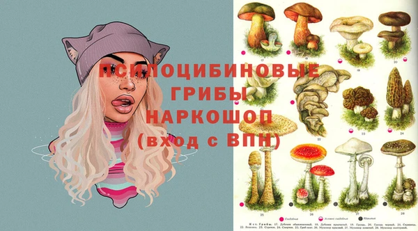 Альфа ПВП Богданович