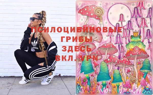 индика Богородицк