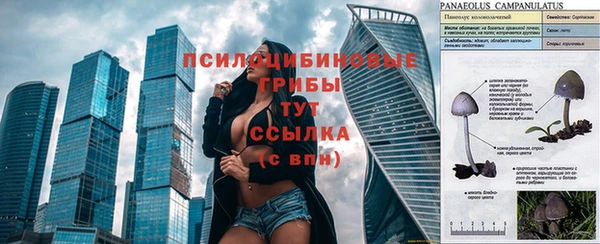 герыч Богородск