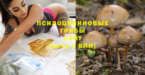 Альфа ПВП Богданович