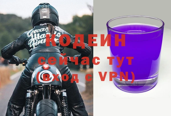 индика Богородицк