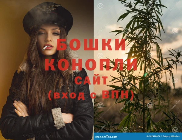 индика Богородицк