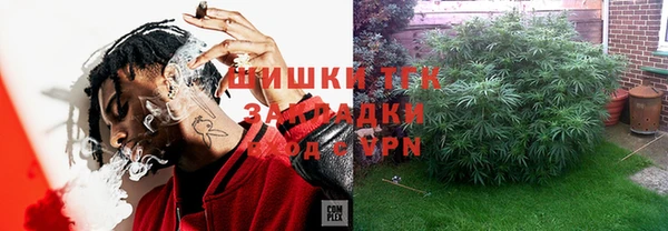 индика Богородицк
