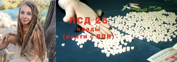 индика Богородицк
