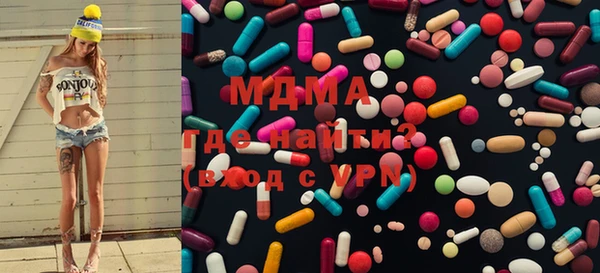 индика Богородицк