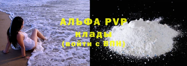 индика Богородицк