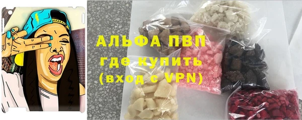 индика Богородицк