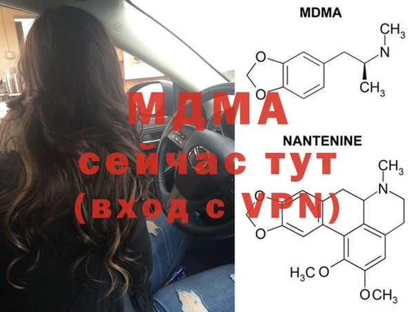 индика Богородицк