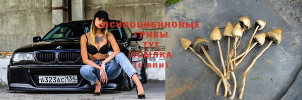 Альфа ПВП Богданович