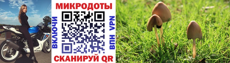 Псилоцибиновые грибы мицелий Ессентуки